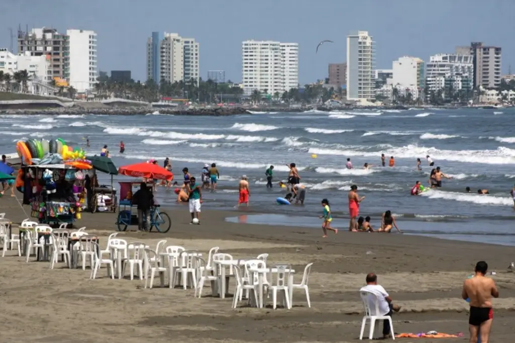 Imagen Checa el calendario de actividades por el Día del Medio Ambiente en Veracruz