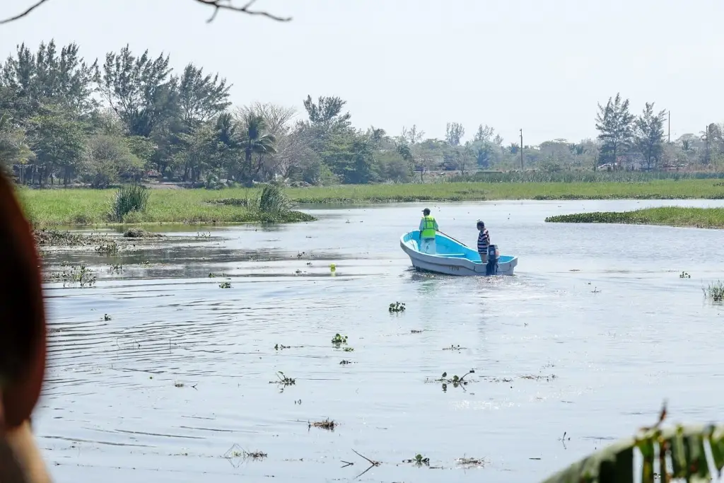 Imagen Rehabilitación de lagunas de Veracruz está en la última etapa: Procuraduría