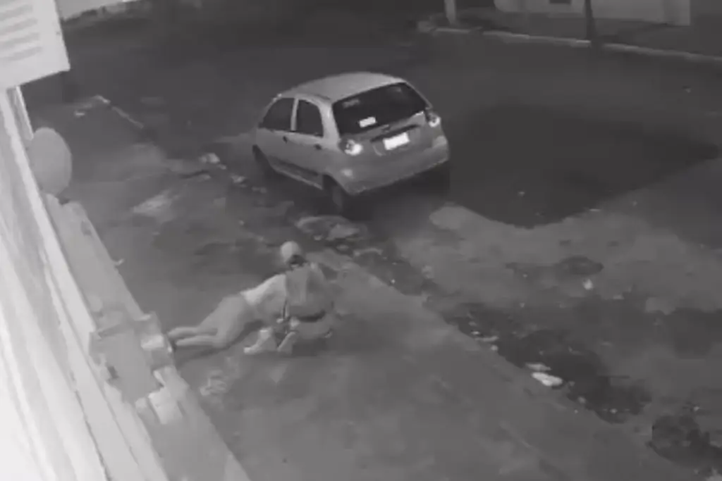Imagen Captan a tres sujetos que asaltan a mujer en calle de Veracruz (+Video)