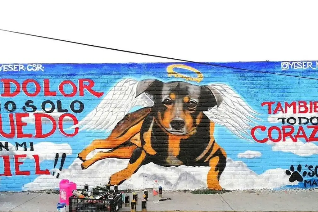 Imagen Crean mural en honor a 'Scooby' el perrito que fue lanzado a cazo de aceite hirviendo 