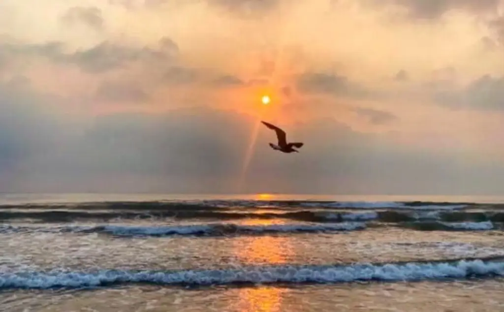 Imagen Hace mucho calor en Veracruz y todavía no estamos en 