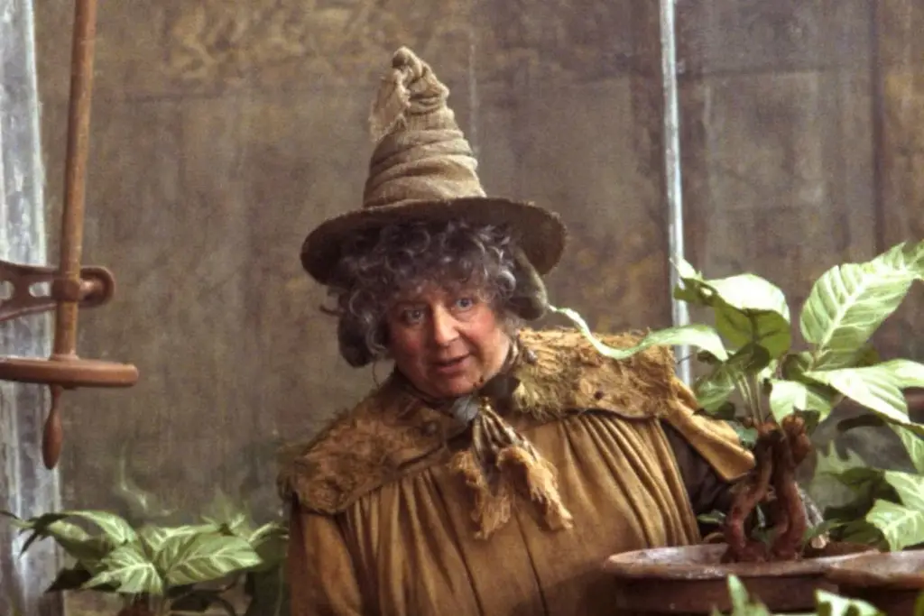 Imagen Actriz de Harry Potter posa desnuda a sus 82 años