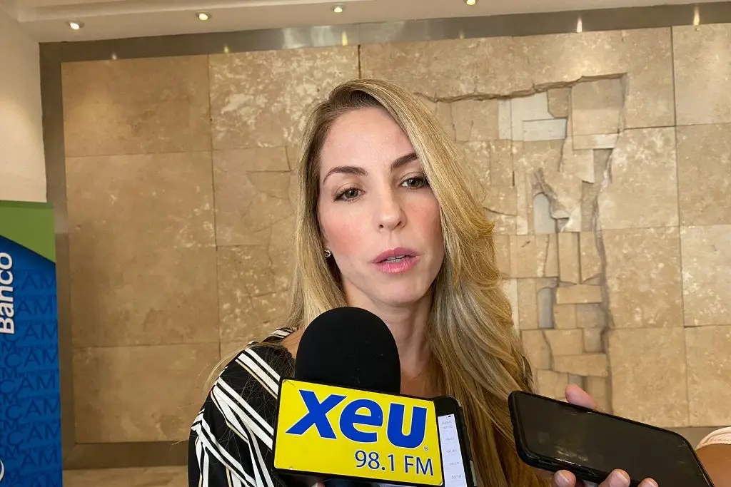 Roban 18% de energía eléctrica a CFE en Veracruz - xeu noticias veracruz