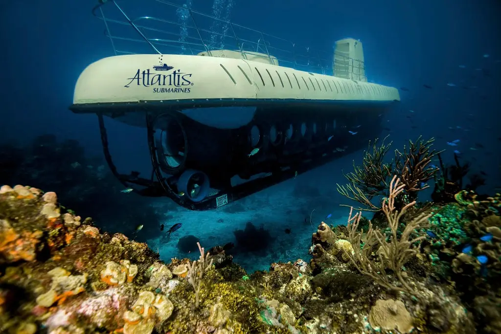 Imagen Este es el único submarino turístico mexicano y así puedes viajar en él