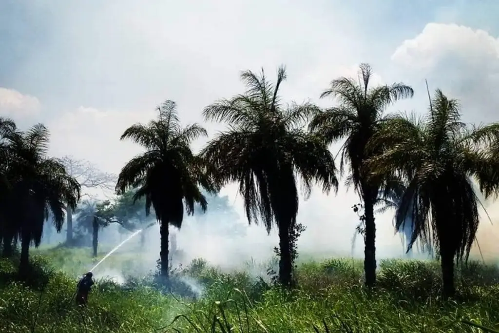 Imagen Veracruz no atraviesa por la canícula, señala meteorólogo