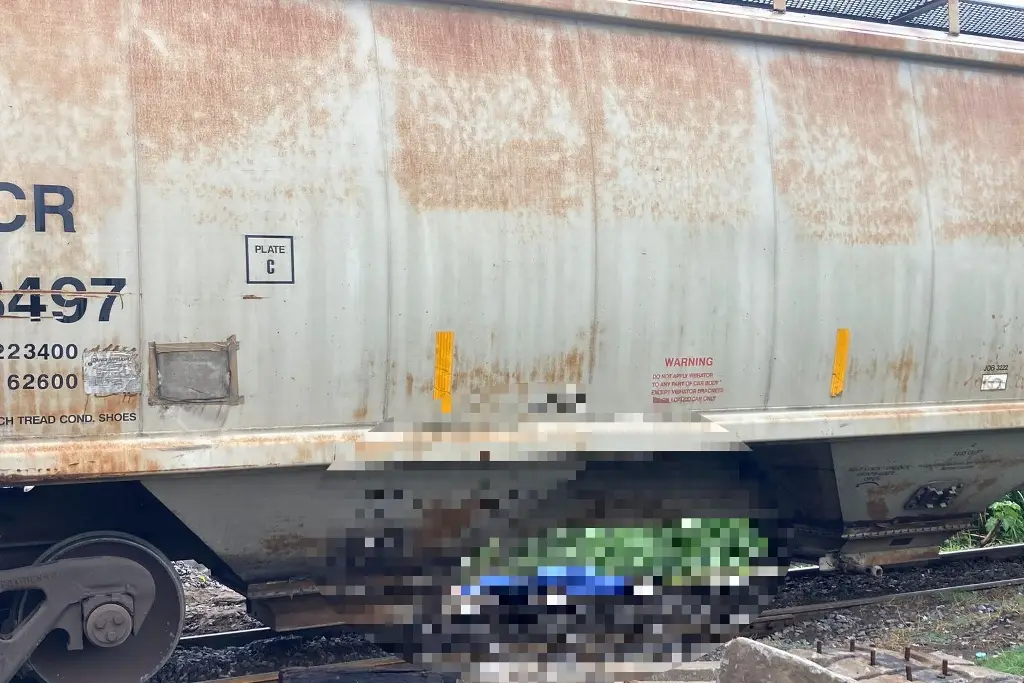 Imagen Se los lleva el tren en Geo Villas, Veracruz; hay un muerto