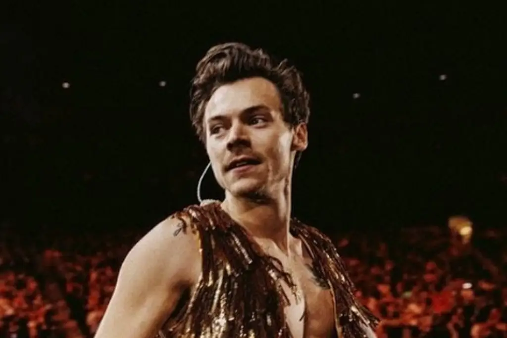 Imagen Golpean a Harry Styles en el ojo en pleno concierto 