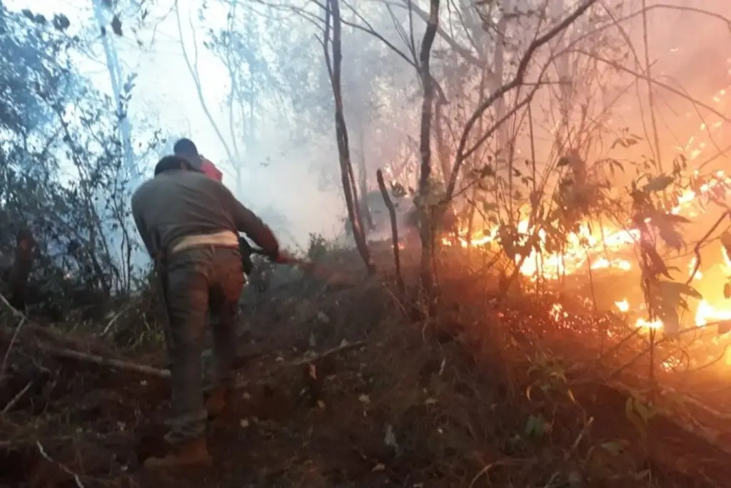 Imagen Veracruz acumula 192 incendios forestales de enero a la fecha