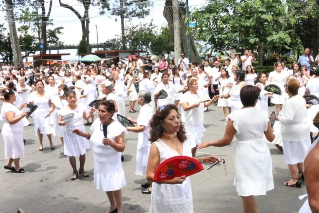 Imagen Participan más de 500 personas en baile de danzón masivo en Xalapa 