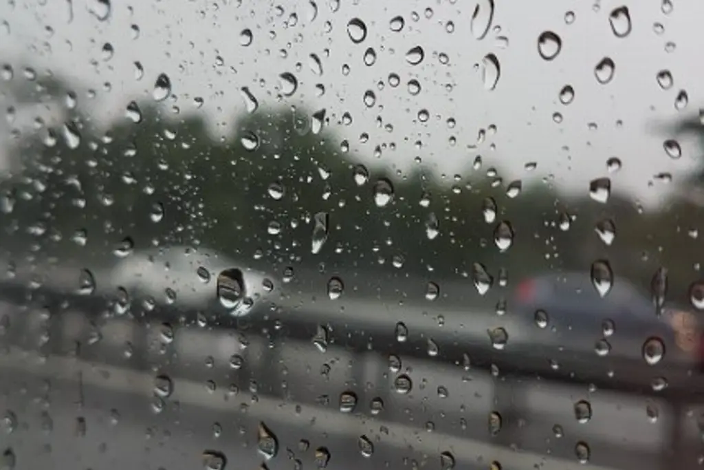 Imagen Cierre de circulación en la carretera Poza Rica-Cardel 