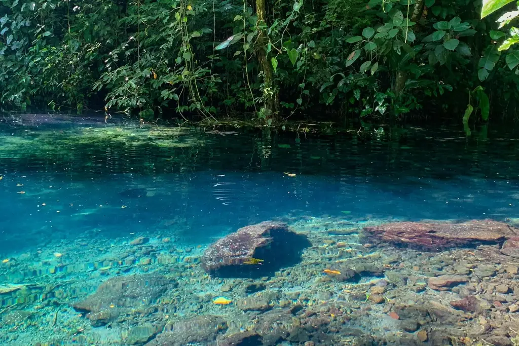 Imagen ¿Conoces la hermosa laguna azul de Veracruz? Así puedes llegar