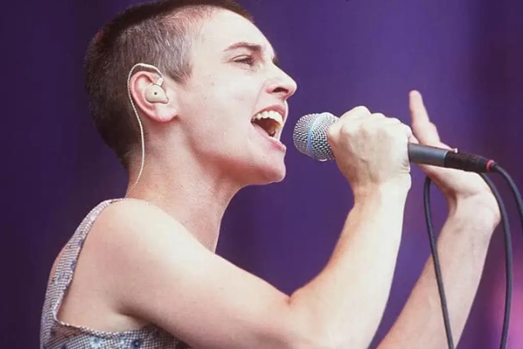 Imagen Así fue la trágica muerte del hijo menor de la cantante Sinéad O'Connor