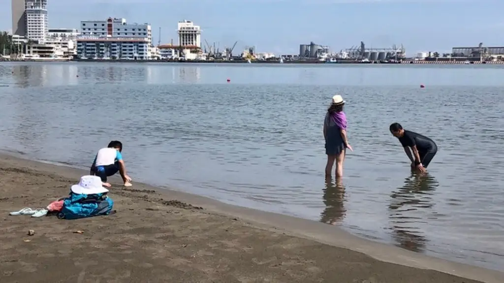 Imagen Pese a observación de Cofepris, turistas disfrutan playa Regatas en Veracruz