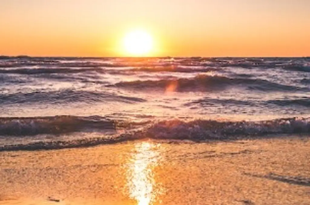 Imagen Hallan cuerpo dentro de un barril que flotaba cerca de una playa 