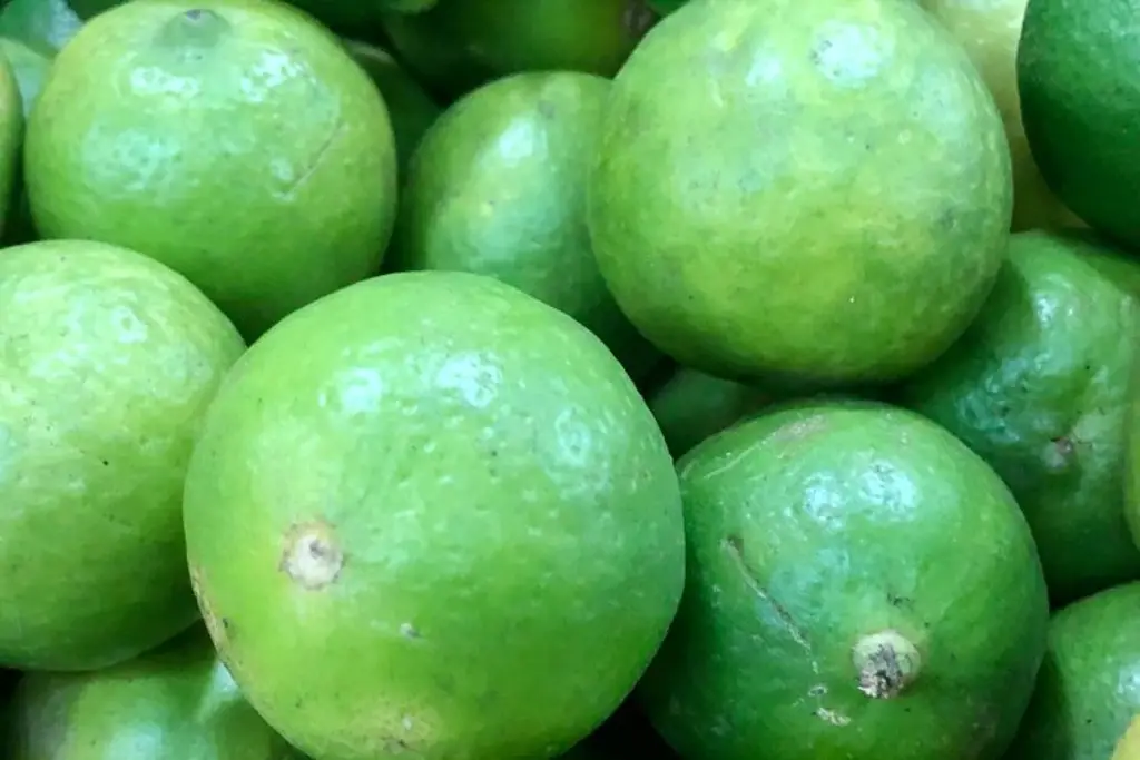 Imagen Sube el precio del limón en Veracruz 