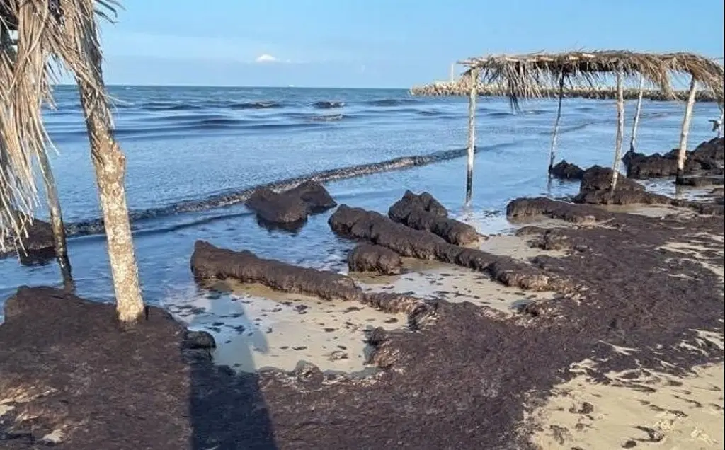 Imagen Sargazo llega a playas de Tuxpan; descartan contaminación con hidrocarburo