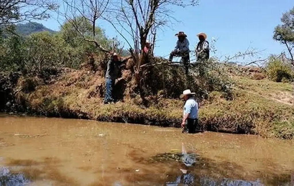 Imagen Hallan sin vida a hombre en arroyo de Xoxocotla, Veracruz 