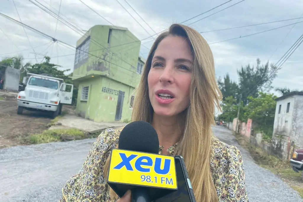 Imagen Harán tres colectores en el municipio de Veracruz para evitar inundaciones 