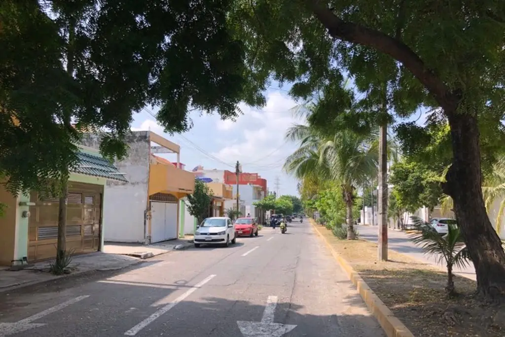Imagen Hasta 10 culebras en menos de un mes encuentran en fraccionamiento de Veracruz