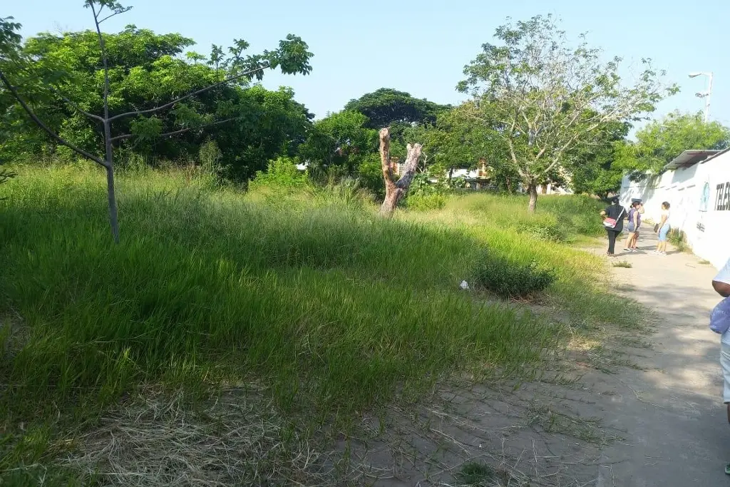 Imagen Reportan que zona del parque El Hoyo en el Coyol es una 