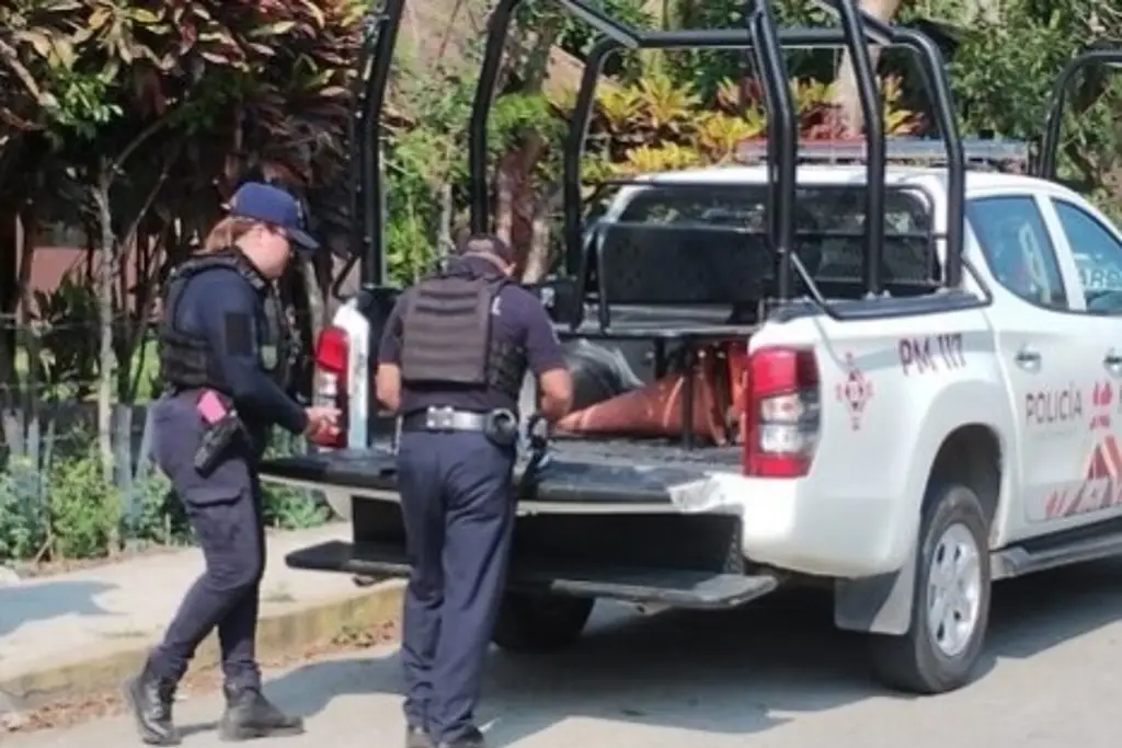 Imagen Balacera en Papantla, Veracruz deja un detenido 
