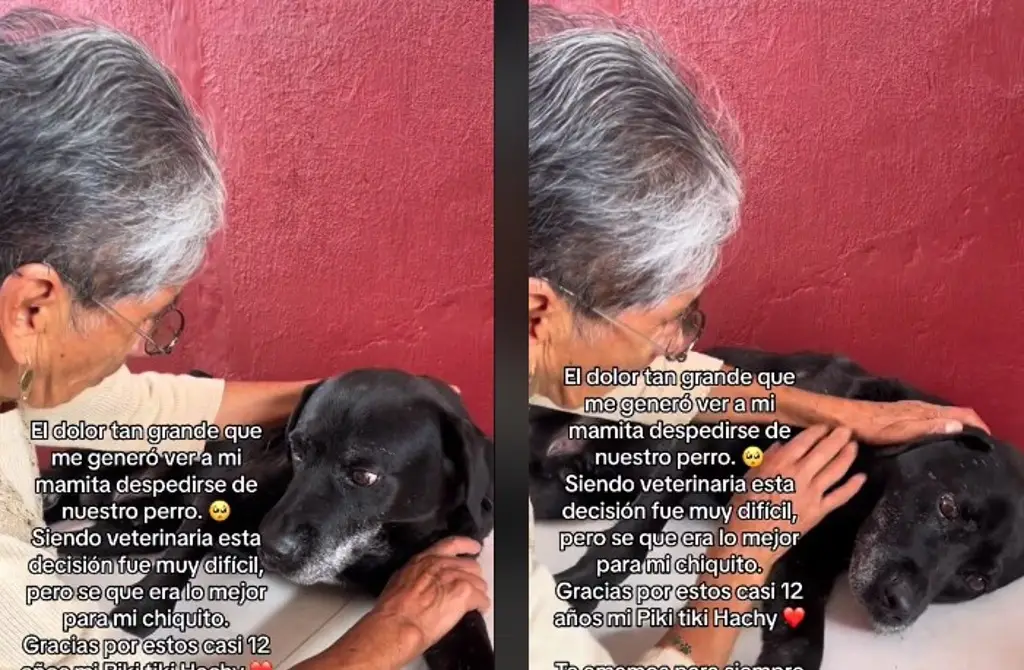 Imagen “Quiero que te vayas contento”: despide a su perro de 12 años (+Video)