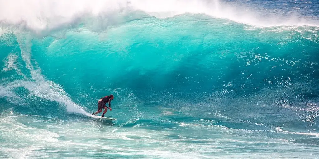Imagen Tiburón muerde en la cara a un surfista