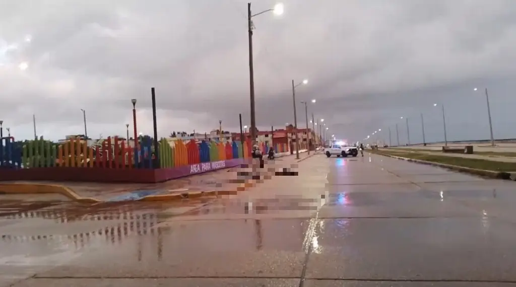 Imagen Dejan bolsas con cuerpo desmembrado en parque infantil, en Coatzacoalcos