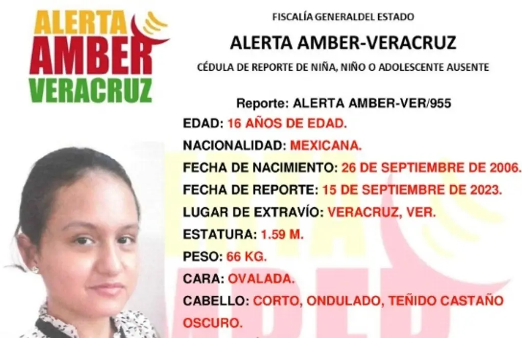 Imagen Emiten Alerta Amber por desaparición menor de 16 años en Veracruz