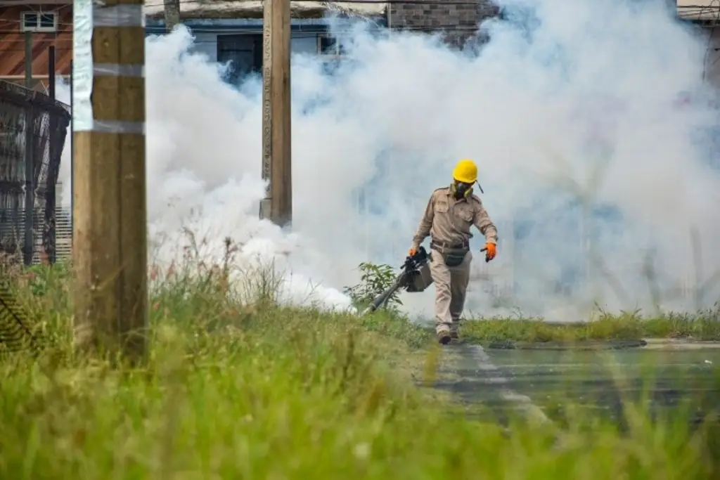Imagen Se disparan casos de dengue en Veracruz