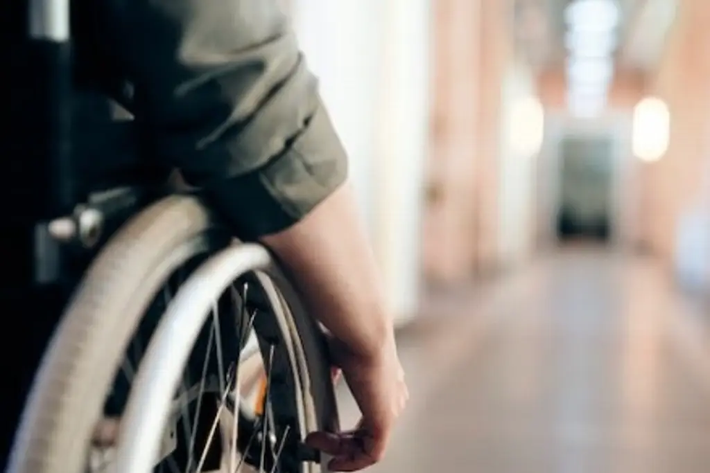 Imagen Gobierno estatal aún no aporta para pensión universal a discapacitados: Delegado 