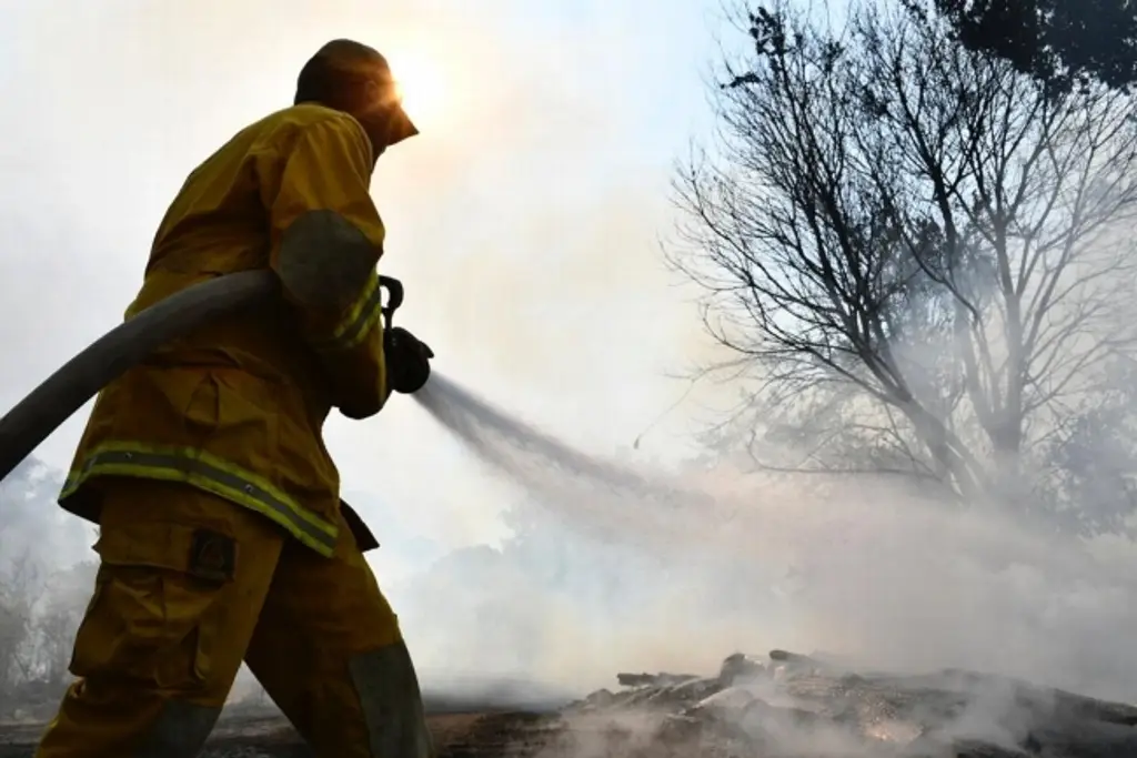 Imagen Mueren 4 bomberos en accidente cuando regresaban de combatir incendio forestal