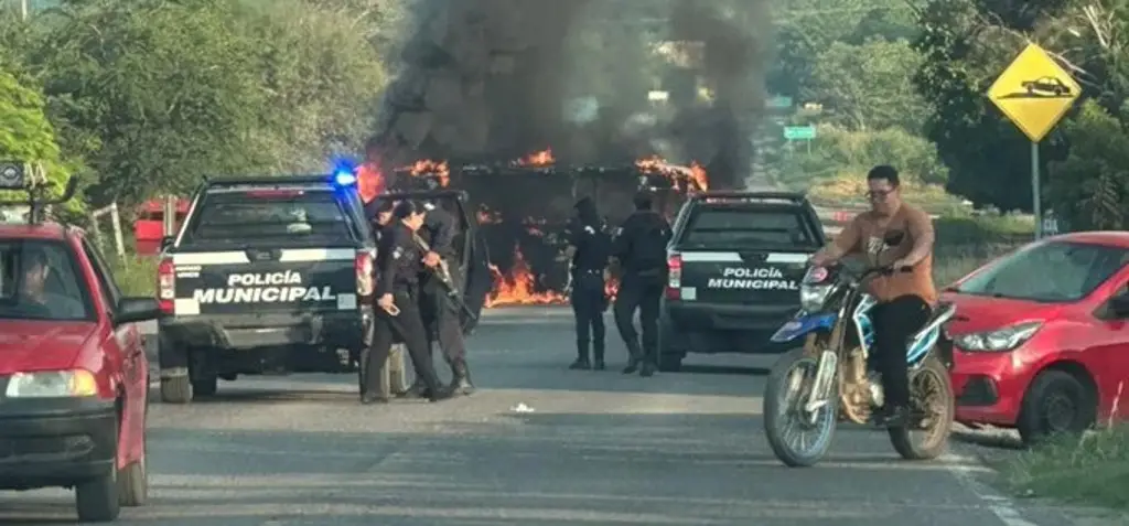 Imagen Reducir reclutamiento de cárteles frenaría violencia en México: estudio