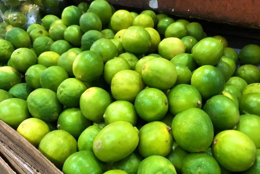 Imagen Al alza el precio del limón en mercados de Veracruz