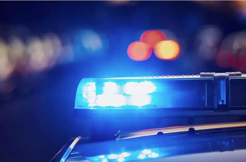 Imagen Niños roban auto para escapar de su mamá; les había quitado sus teléfono