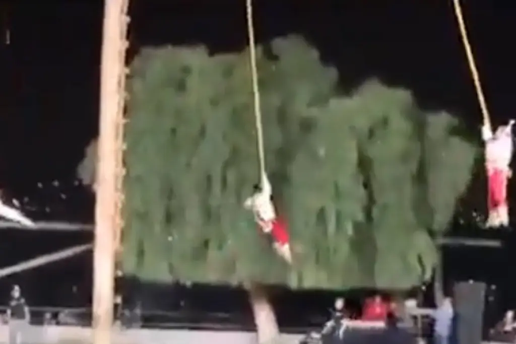 Imagen Voladores de Papantla chocan contra un árbol durante una presentación (+Video)