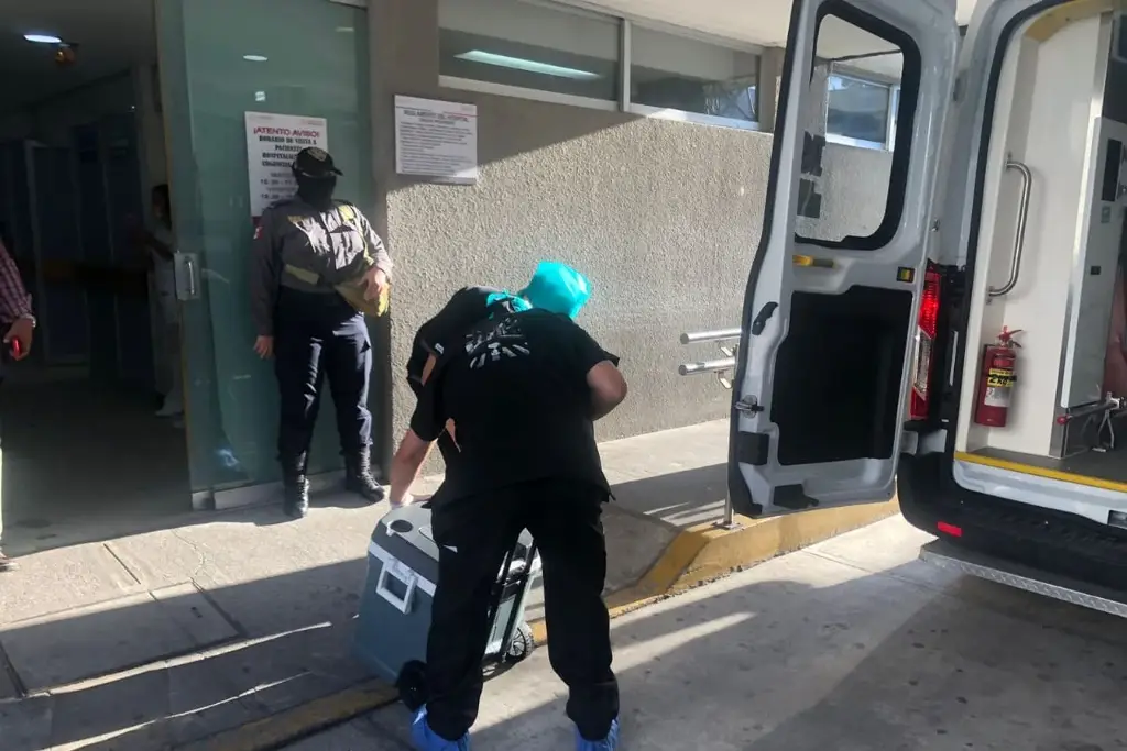 Imagen Así fue como estudiante de la UV atropellada y muerta 