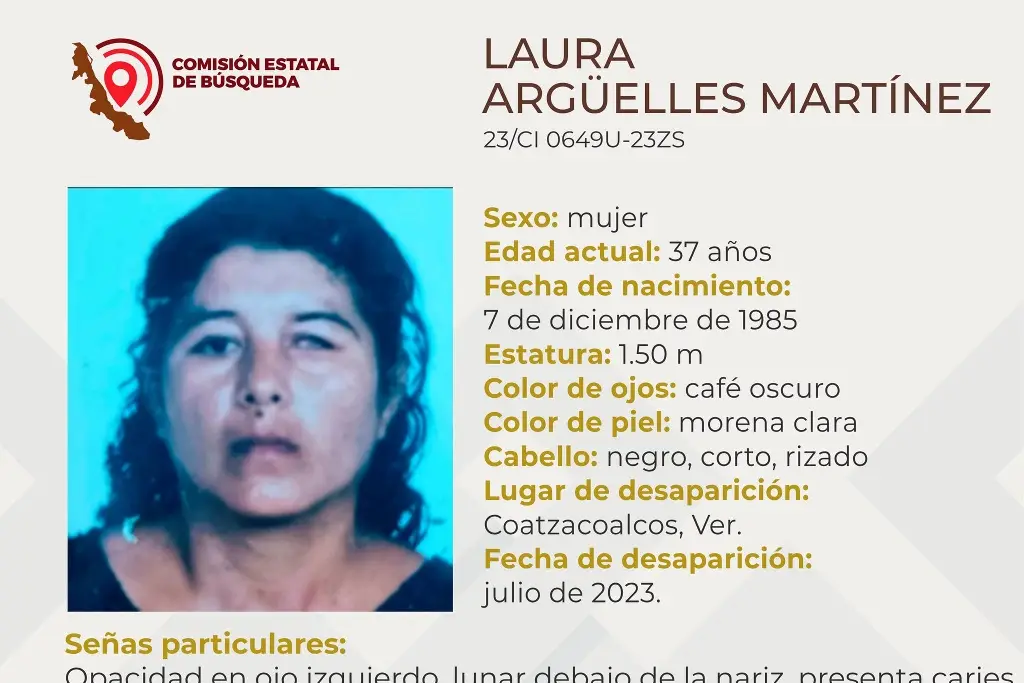 Imagen Joven mujer desaparece al sur de Veracruz 