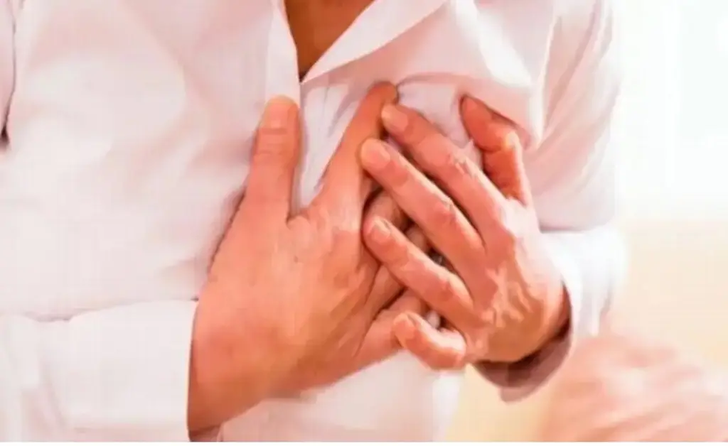 Imagen ¿Qué alimentos consumir para cuidar el corazón? 
