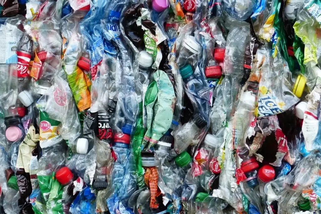 Imagen Invitan a escuelas de Veracruz a sumarse a campaña de reciclaje