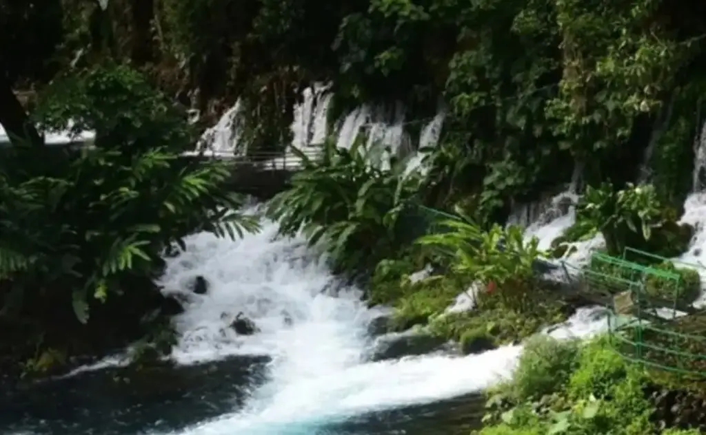 Imagen Así puedes llegar al lugar 'Nace un río, un oasis en Veracruz'