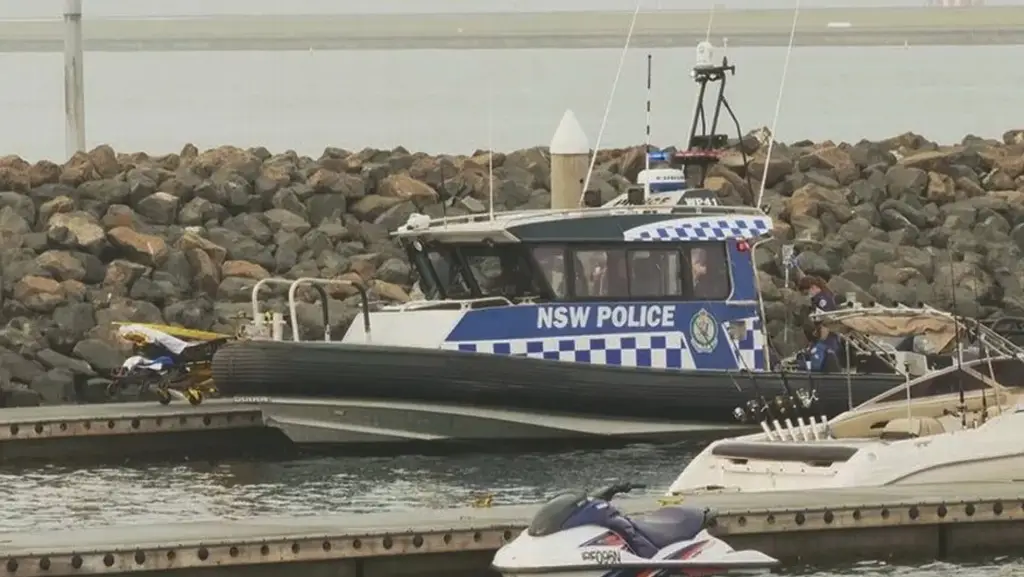 Imagen Ballena choca contra barco; hay un muerto y un herido