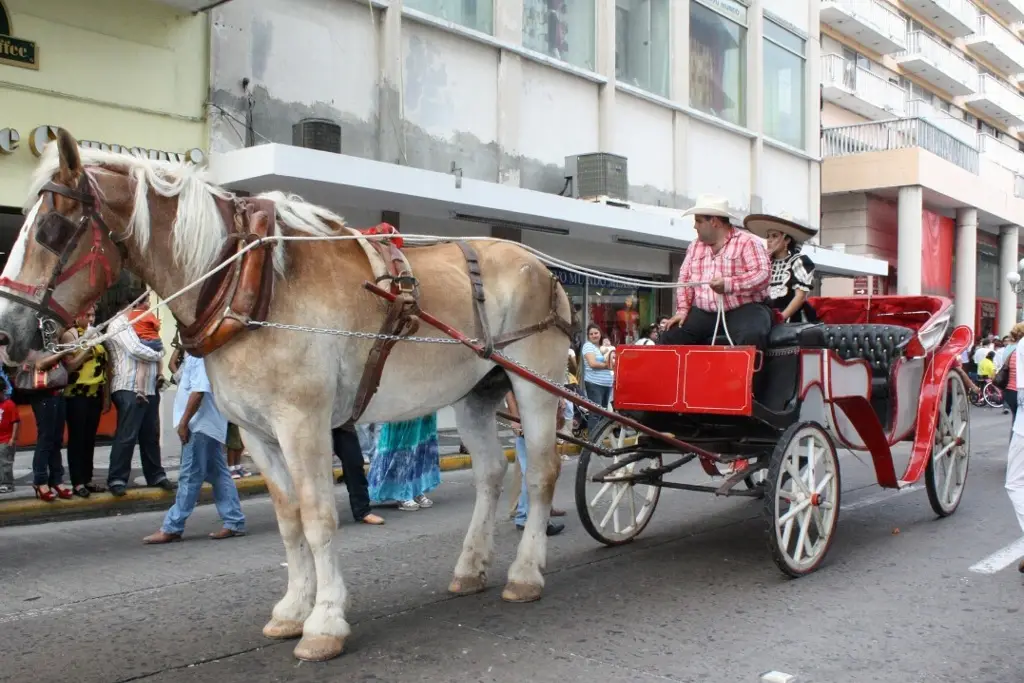Imagen Anuncian en Veracruz Mega Cabalgata de Alvarado