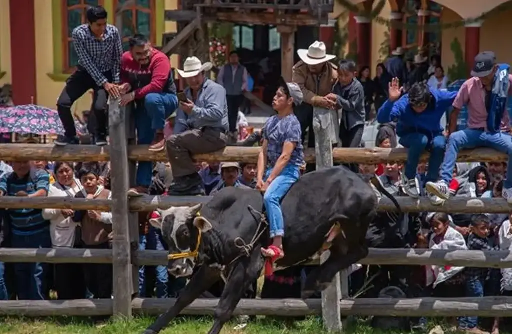 Imagen En Medellín, la tradición del Jaripeo se está cayendo: Jinetes