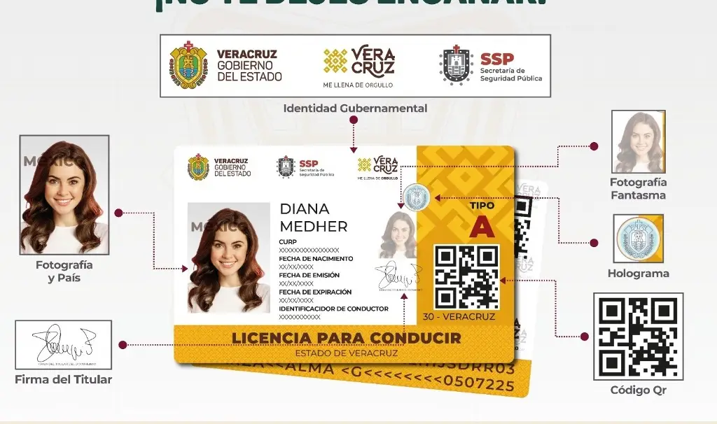 ¿Vas A Tramitar Tu Licencia De Conducir En Veracruz? Estos Son Los ...