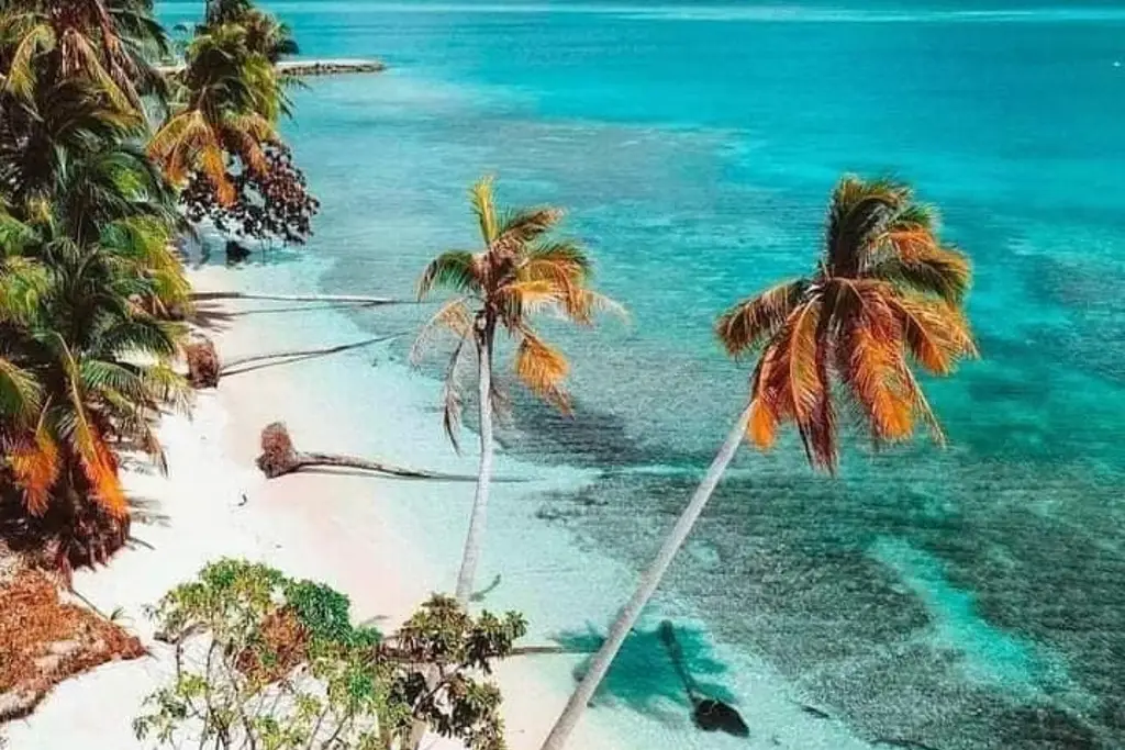 Imagen La mejor isla de México está en Veracruz; así puedes llegar 