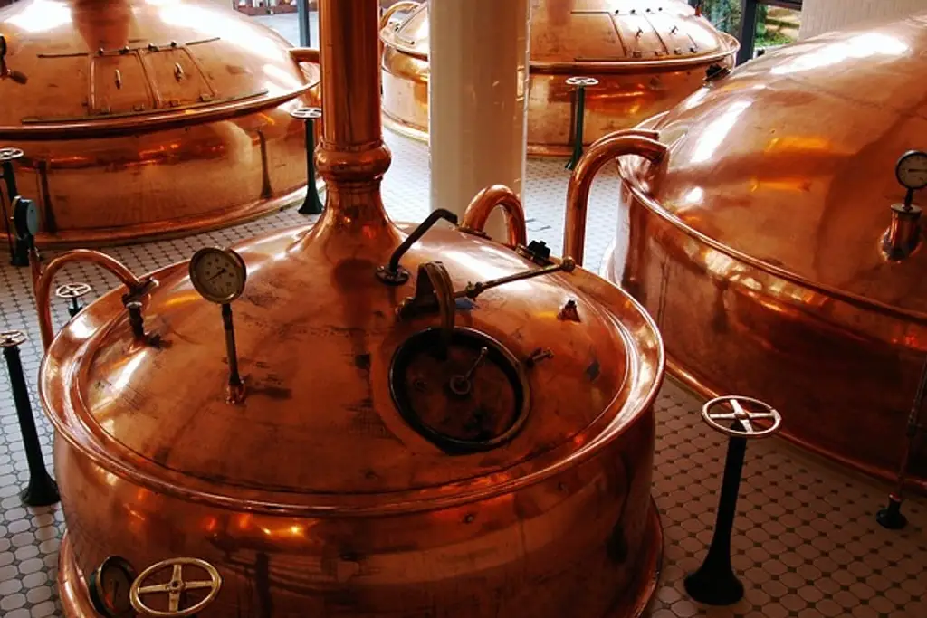 Imagen Captan a empleado orinando en barrica de cerveza (+Video)