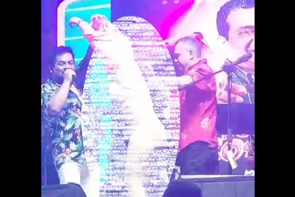 Imagen Cantante desnuda a mujer en pleno concierto por un cartón de cervezas (+Video)