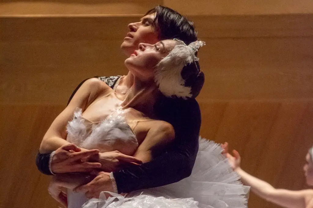 Imagen El Royal Ukranian Ballet emociona con 'El Lago de los Cisnes' en Veracruz (+fotos)