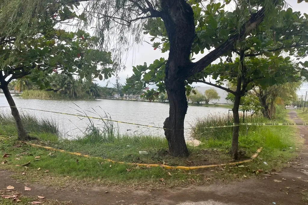 Imagen Lo vieron flotando en laguna Malibrán de Veracruz, e impacta a ciudadanos 